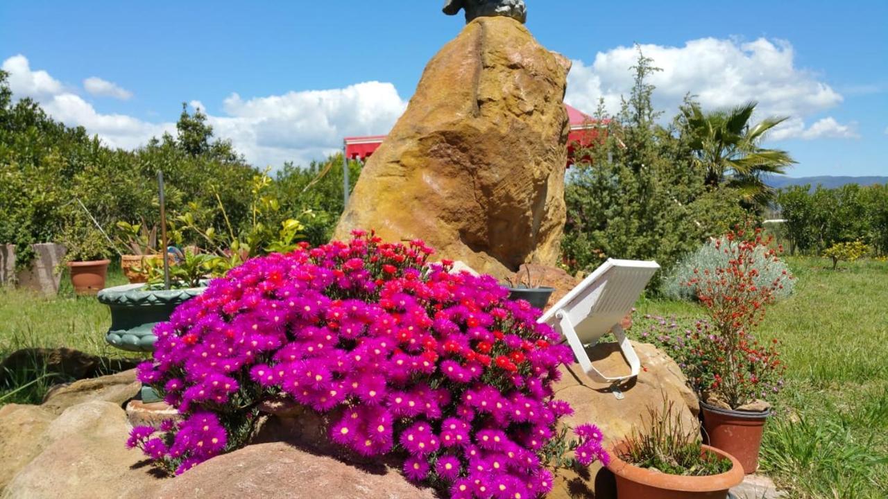 Orange Ville Villamassargia エクステリア 写真